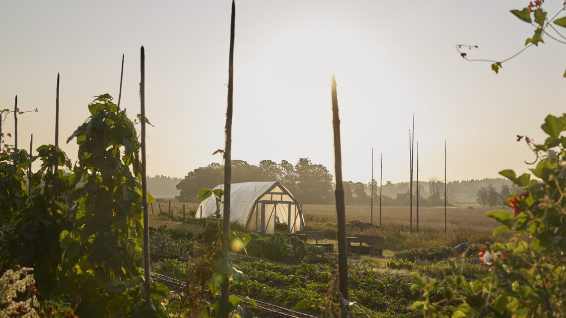 ll lindeborgs ekoretreat _60A0289